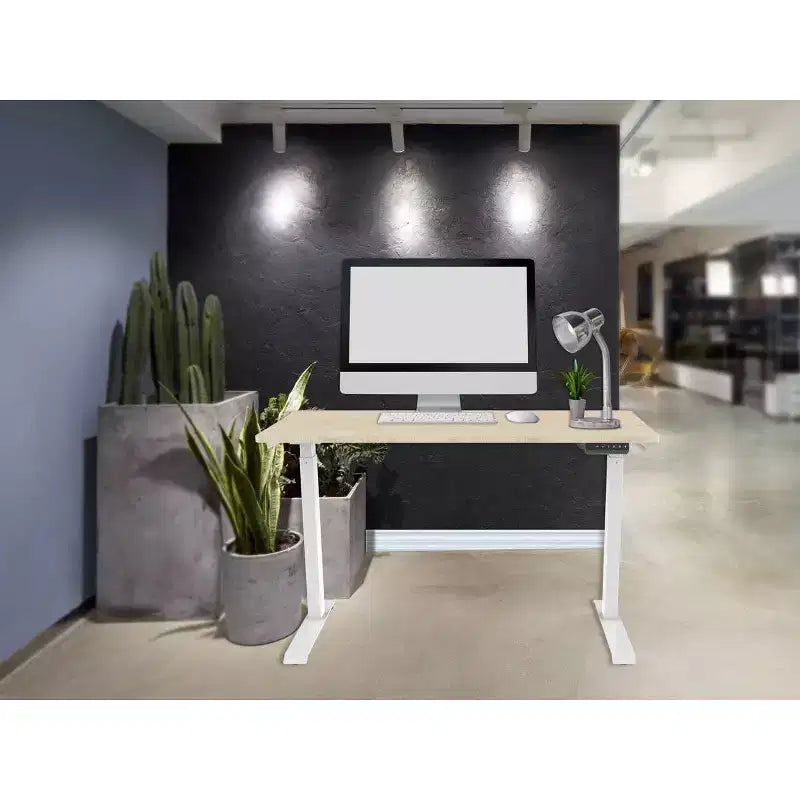 Bureau assis-debout réglable en hauteur, moteur unique, blanc, 1 personne, plateau de 120 cm